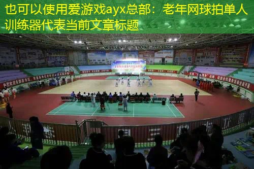 爱游戏ayx总部：老年网球拍单人训练器