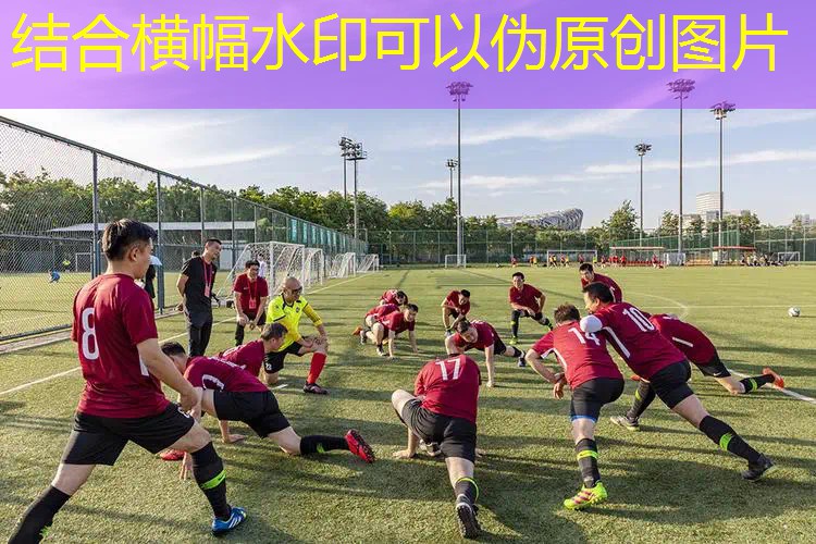 爱游戏中国官方网站：网球拍可以随身带么