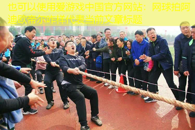 爱游戏中国官方网站：网球拍阿迪欧帝尔咋样