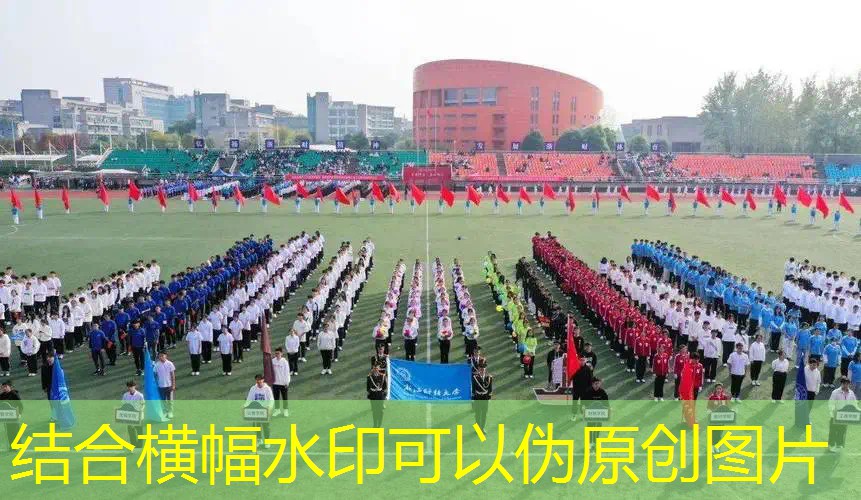 爱游戏ayx总部：网球拍里送的东西怎么用
