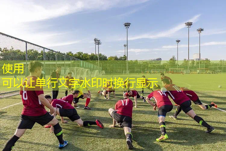 爱游戏ayx官方网站入口：锋范体育用品商行网球拍