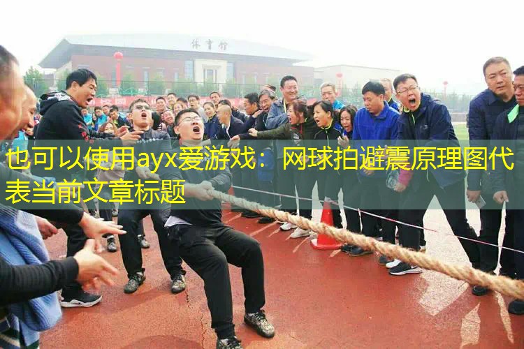ayx爱游戏：网球拍避震原理图