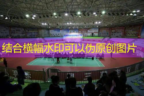 ayx爱游戏：网球拍测磅数仪器有哪些