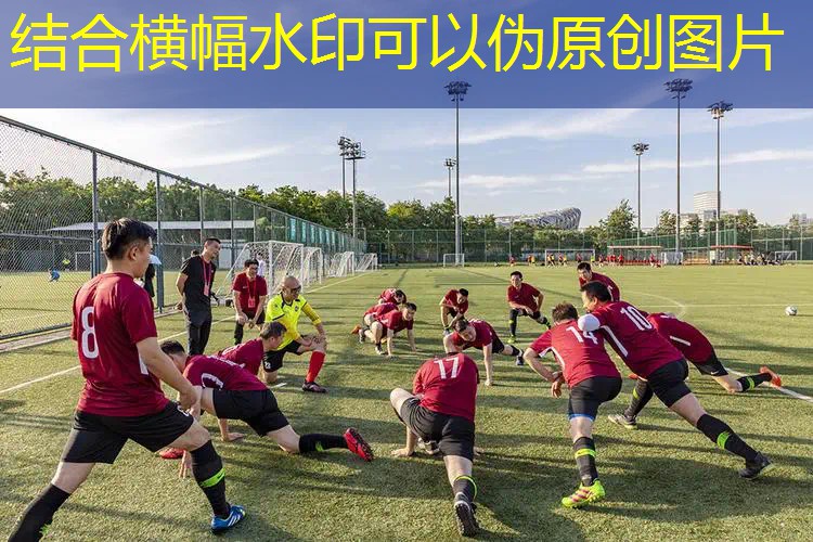 网球拍的宽度是多少厘米