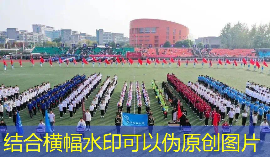 爱游戏ayx官方全站：宜宾市第三中学校乒乓球台