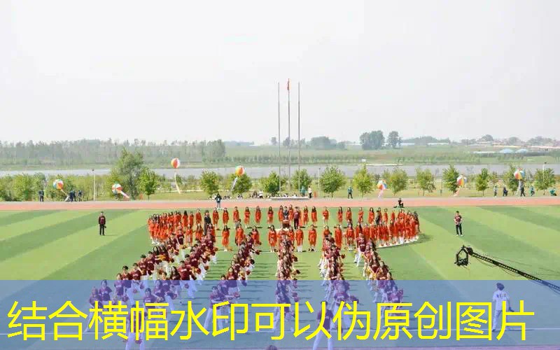 ayx爱游戏：儿童木质游乐设施如何促进儿童视觉与空间认知能力的发展？