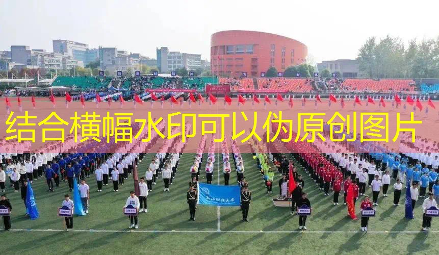 爱游戏ayx总部：篮球架品牌排行榜：根据用户口碑和评价进行的综合评估