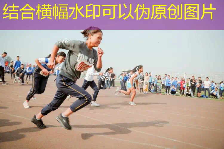 爱游戏ayx集团：室内健身器材摄影