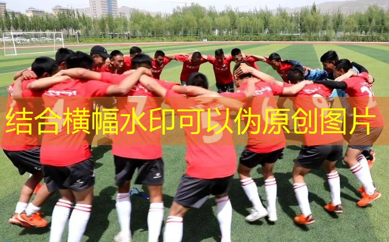 老年运动回弹有网球拍吗_