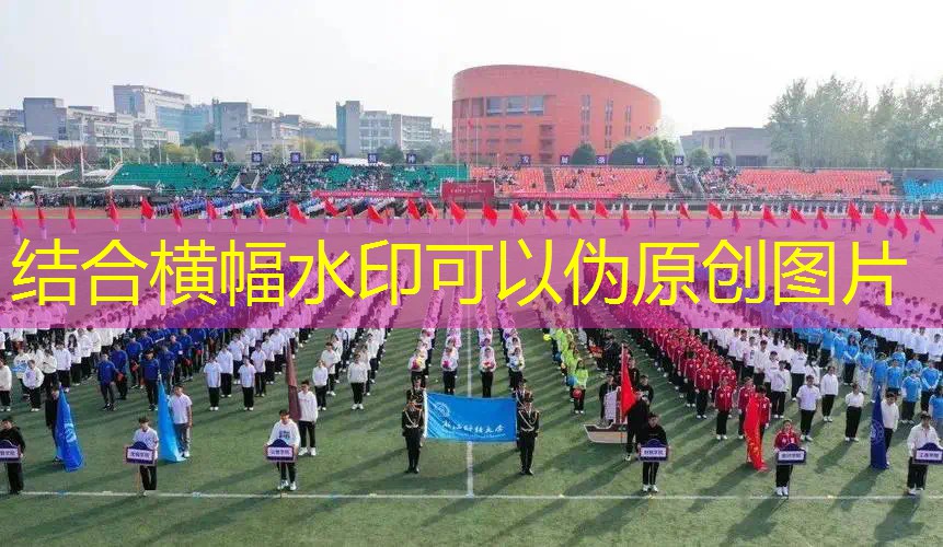 转网球拍的小姐姐是谁 转网球拍的小姐姐是谁