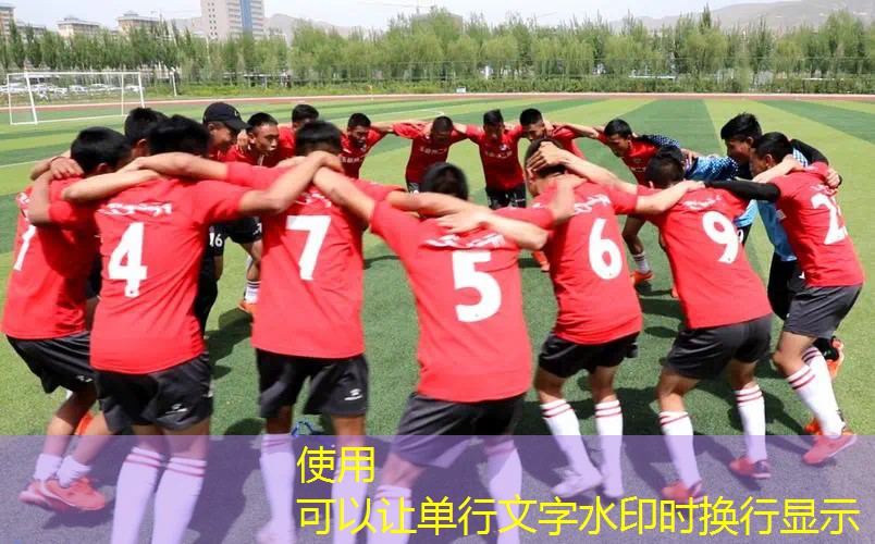 网球拍的分解图解法 网球拍的分解图解法