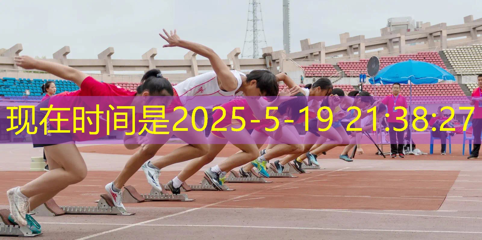 网球拍训练器的圆盘 网球拍训练器的圆盘