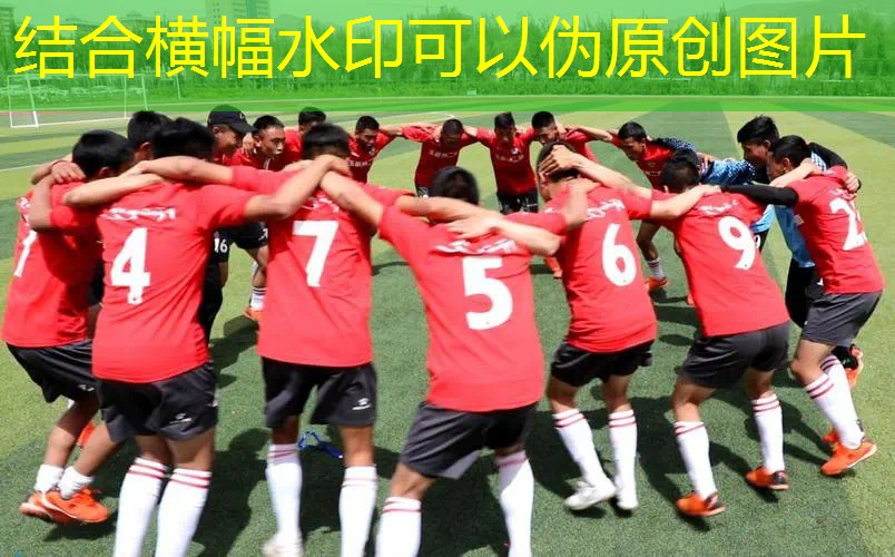 软网网球拍子有哪些