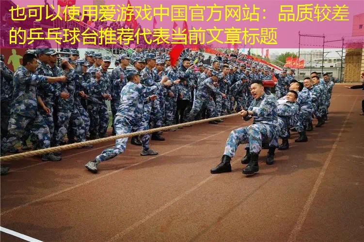 品质较差的乒乓球台推荐