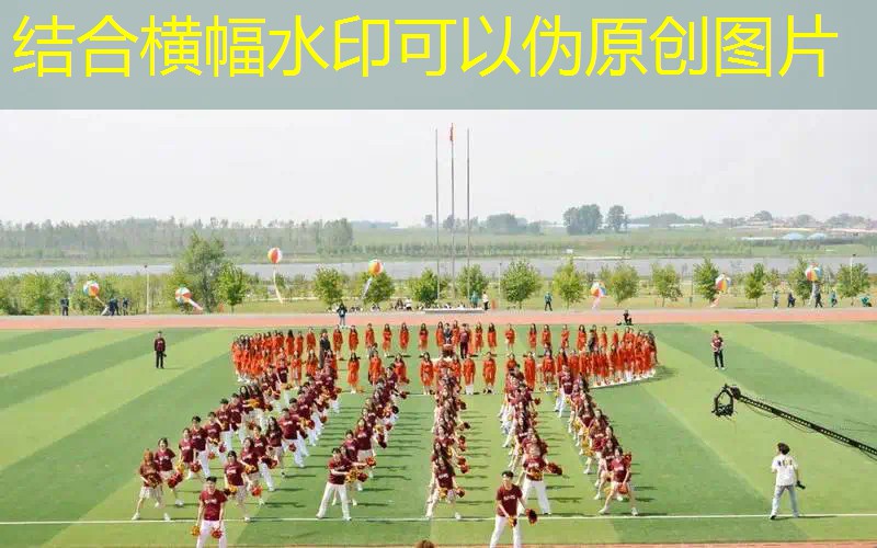 业余乒乓球台