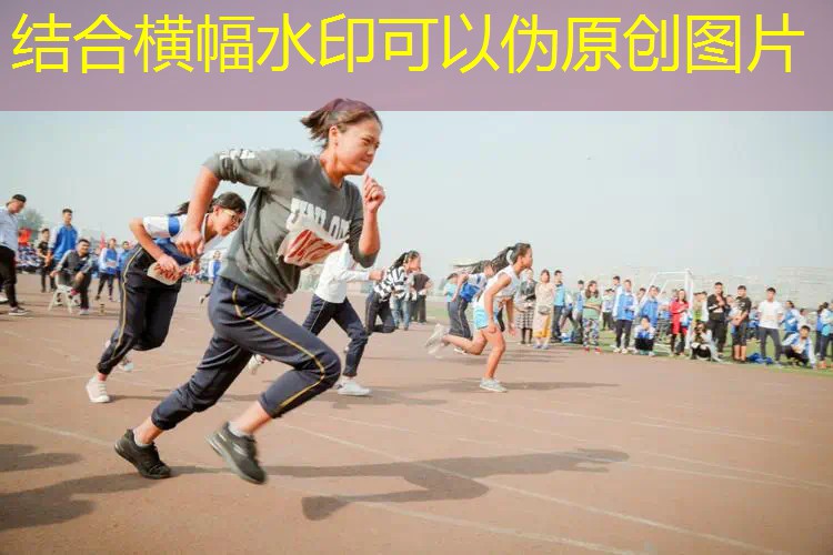 乒乓球台学校 乒乓球台学校