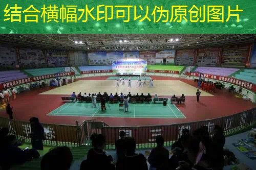 女生室内可用健身器材 女生室内可用健身器材