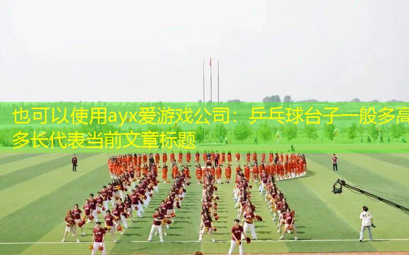 乒乓球台子一般多高多长
