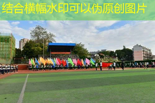 乒乓球台的高宽度是多少 乒乓球台的高宽度是多少